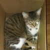 catmom0710